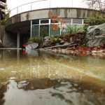 Longhouse Decking and Walkway Replacement Work