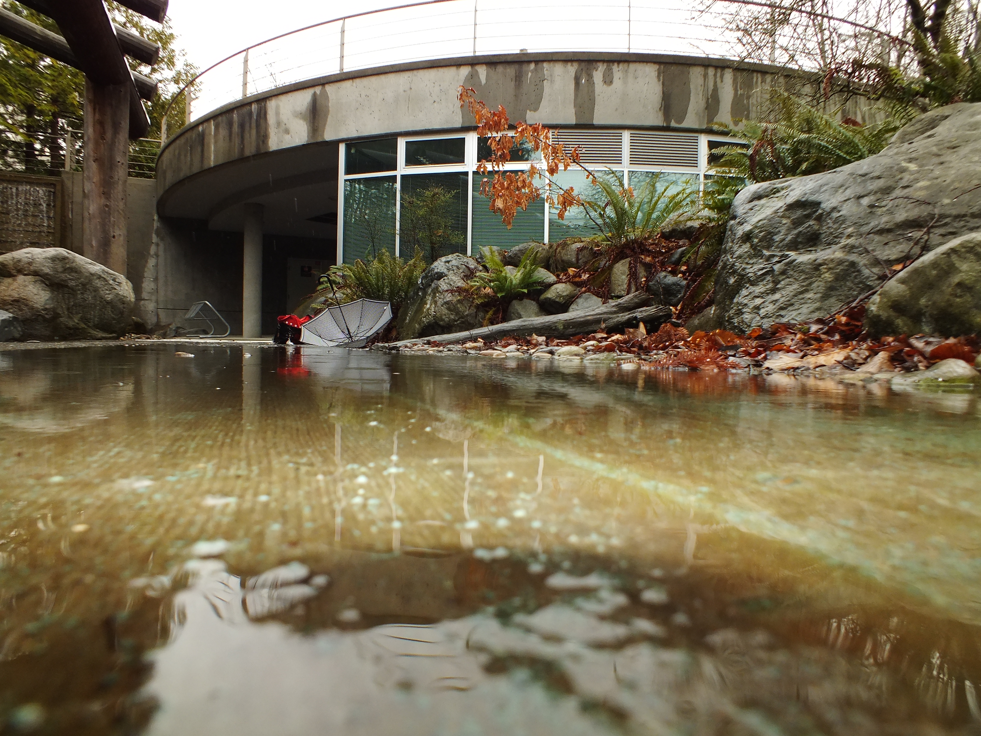 Exterior of Xwi7xwa library on a rainy day